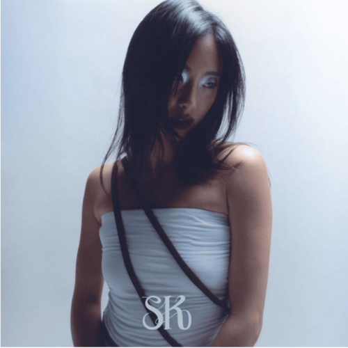 Sarah Kinsley: FLEETING